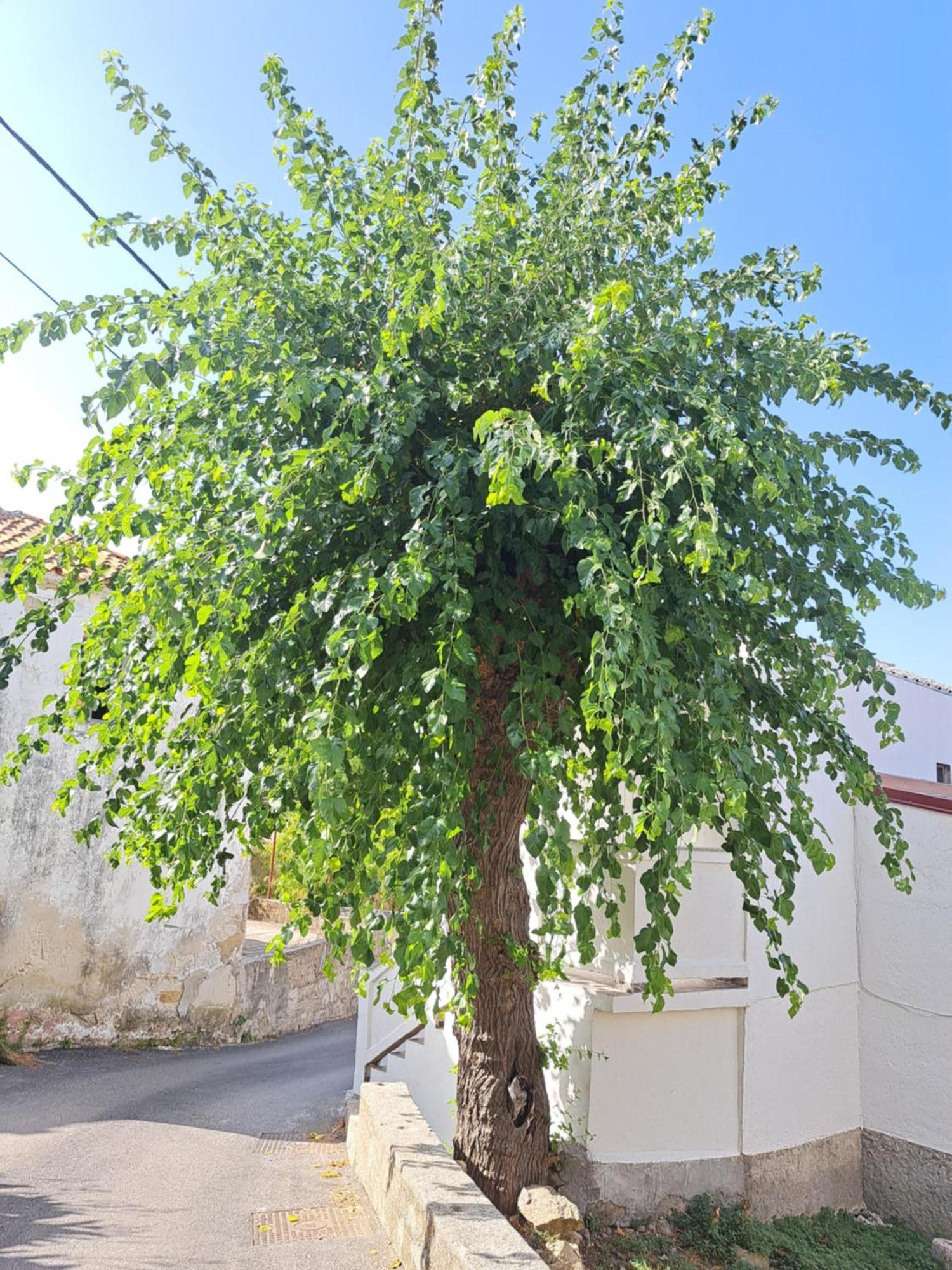 Apartmani Ana-Lora Lopar Luaran gambar